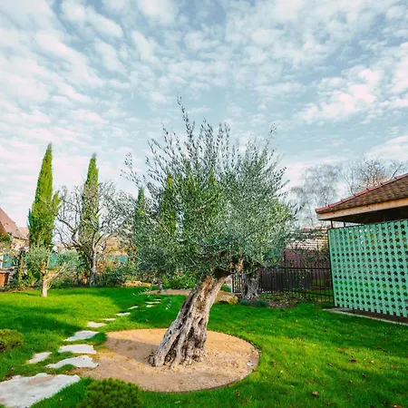 Vakantiehuis Santolina Etrusca Bed And Breakfast, Sauna, Hammam, Jacuzzi