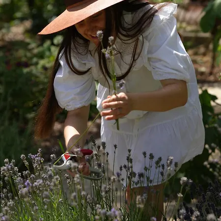 Santolina Etrusca Bed And Breakfast, Sauna, Hammam, Jacuzzi *