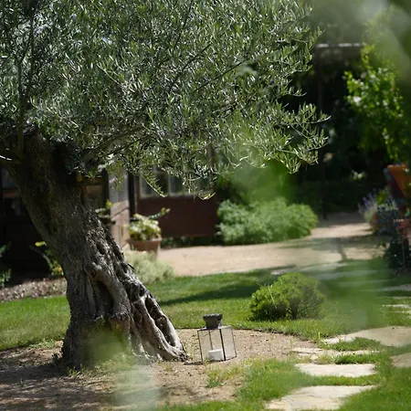 Vakantiehuis Santolina Etrusca Bed And Breakfast, Sauna, Hammam, Jacuzzi *