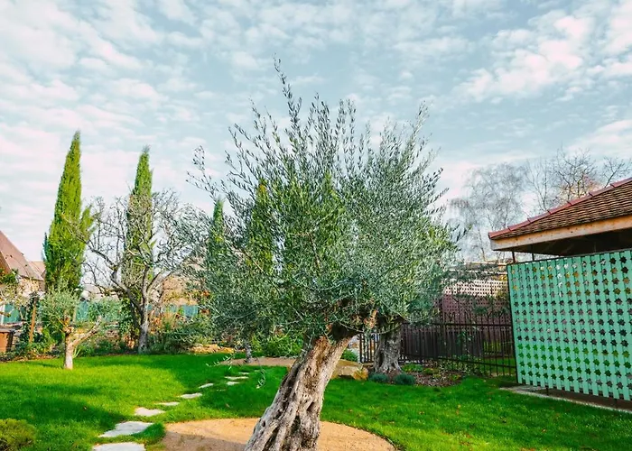 別荘 Santolina Etrusca Bed And Breakfast, Sauna, Hammam, Jacuzzi
