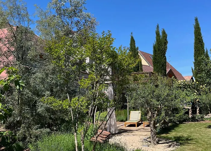 別荘 Santolina Etrusca Bed And Breakfast, Sauna, Hammam, Jacuzzi