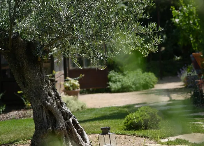 بيت للعطل Santolina Etrusca Bed And Breakfast, Sauna, Hammam, Jacuzzi *